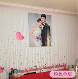 Shiny Flash Silver Line String Curtain